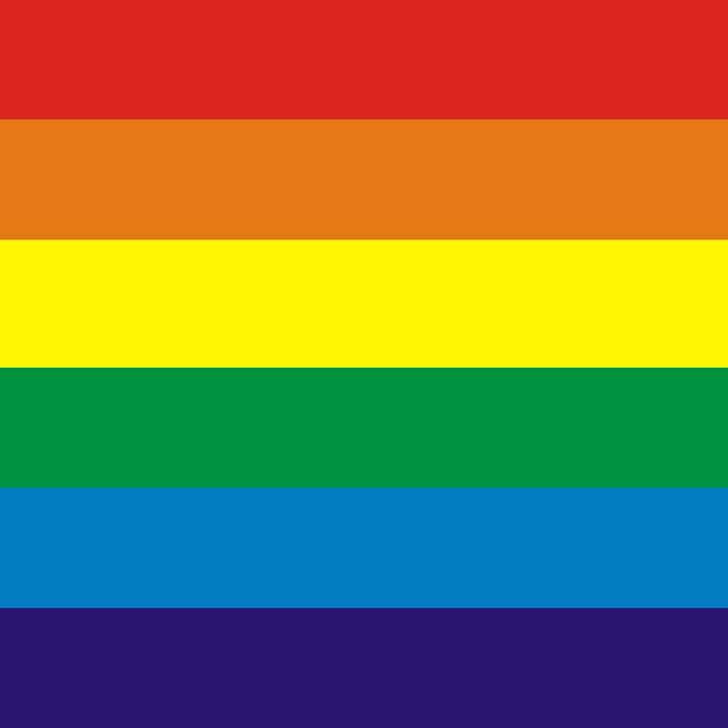 LGBTQ+ Pride