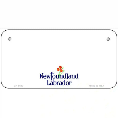 Newfoundland Novelty Metal License Plate 6" x 3" (BP)
