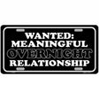 Wanted Meaningful Overnight Relationship Novelty Metal License Plate 12" x 6" (LP)