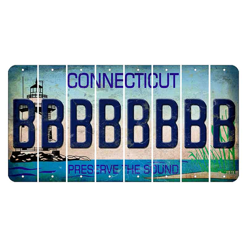Connecticut Preserve the Sound Cut License Plate Strips (Set of 8) B