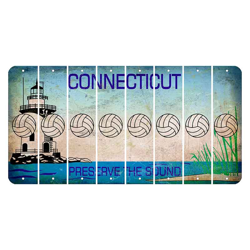 Connecticut Preserve the Sound Cut License Plate Strips (Set of 8) Volleyball