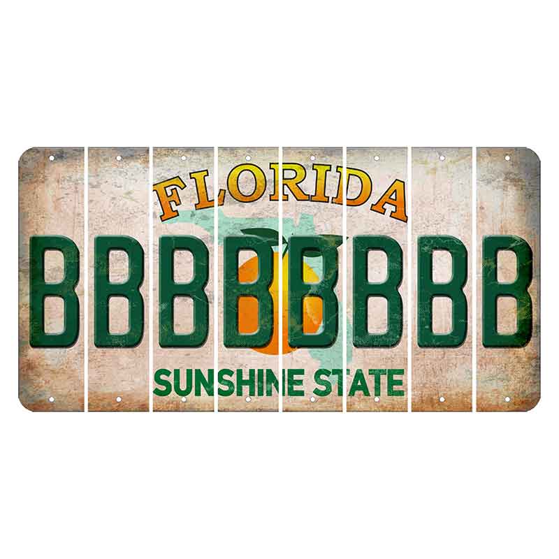 Florida Citrus Orange Cut License Plate Strips (Set of 8) B