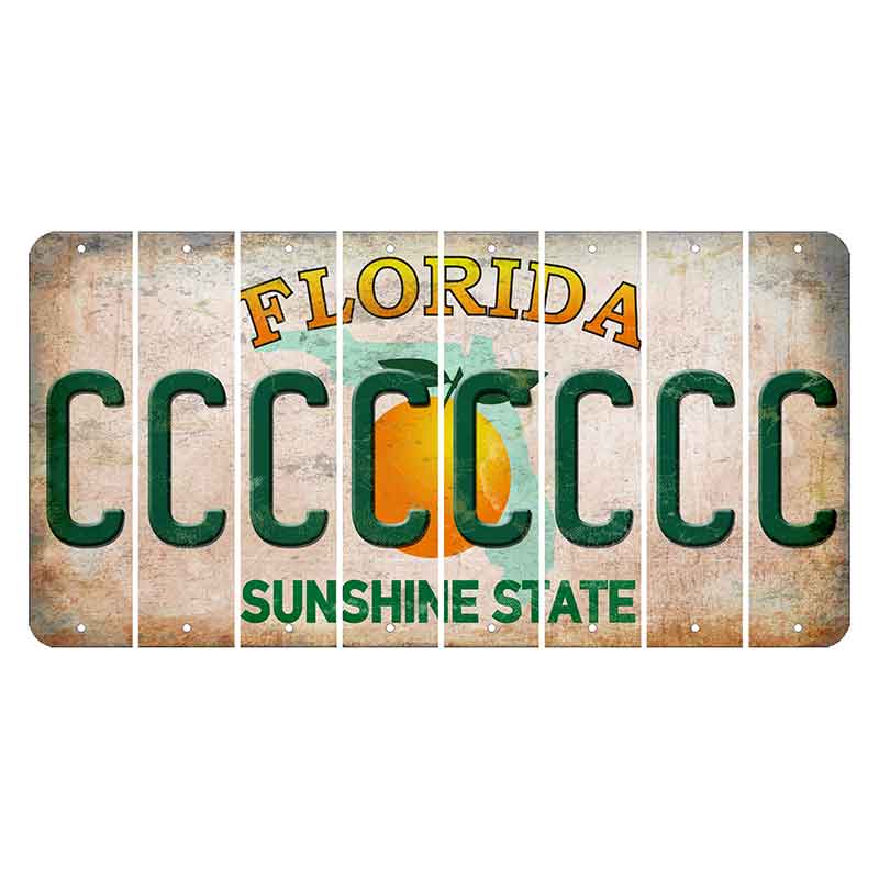 Florida Citrus Orange Cut License Plate Strips (Set of 8) C