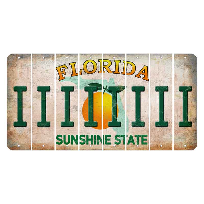 Florida Citrus Orange Cut License Plate Strips (Set of 8) I