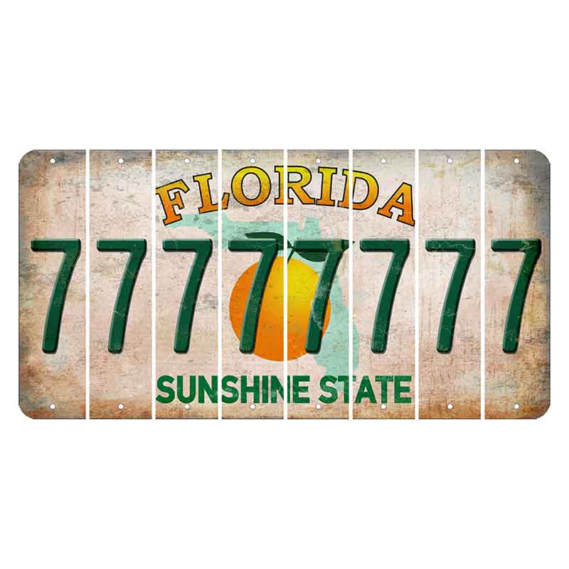 Florida Citrus Orange Cut License Plate Strips (Set of 8) 7