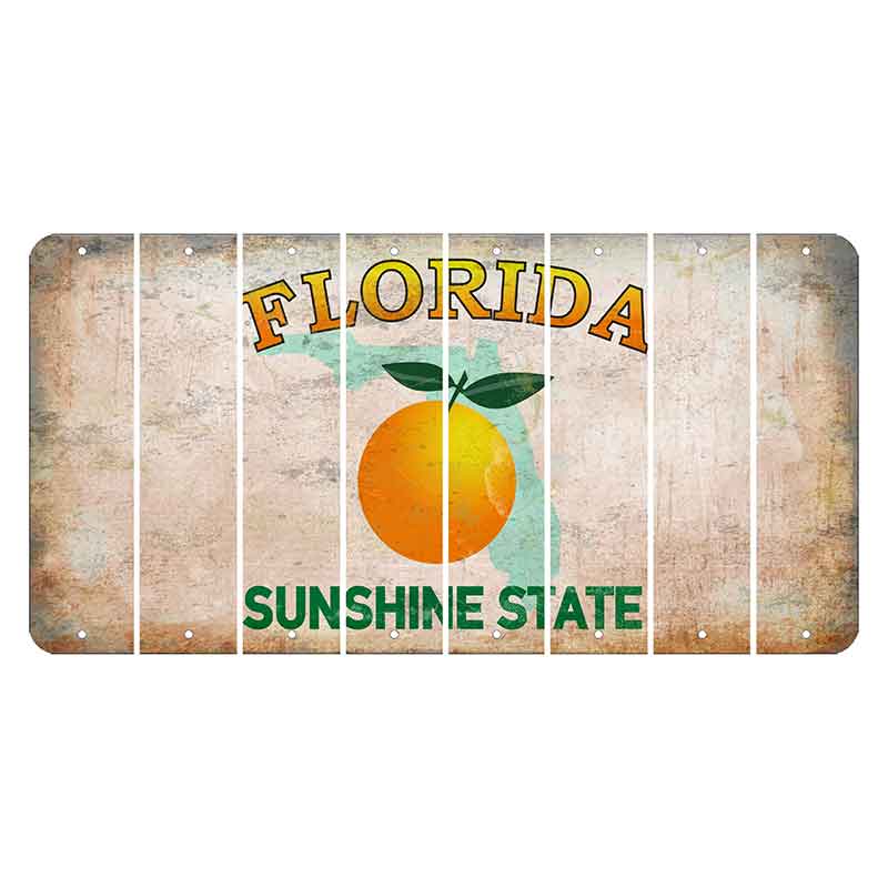 Florida Citrus Orange Cut License Plate Strips (Set of 8) Blank