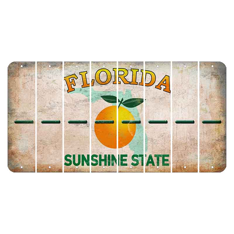 Florida Citrus Orange Cut License Plate Strips (Set of 8) Hyphen