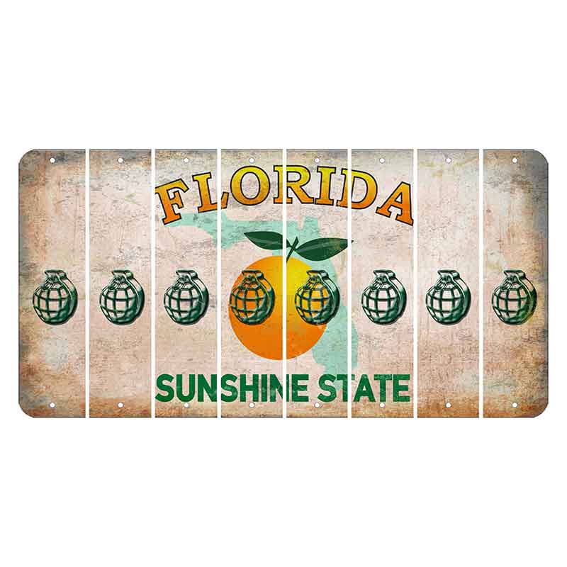 Florida Citrus Orange Cut License Plate Strips (Set of 8) Grenade
