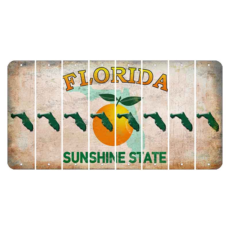Florida Citrus Orange Cut License Plate Strips (Set of 8) State Silhouette