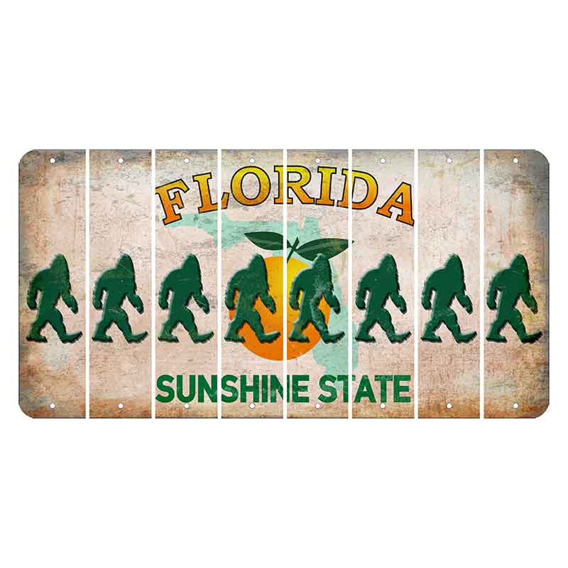 Florida Citrus Orange Cut License Plate Strips (Set of 8) Bigfoot