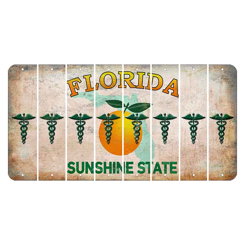 Florida Citrus Orange Cut License Plate Strips (Set of 8) Caduceus