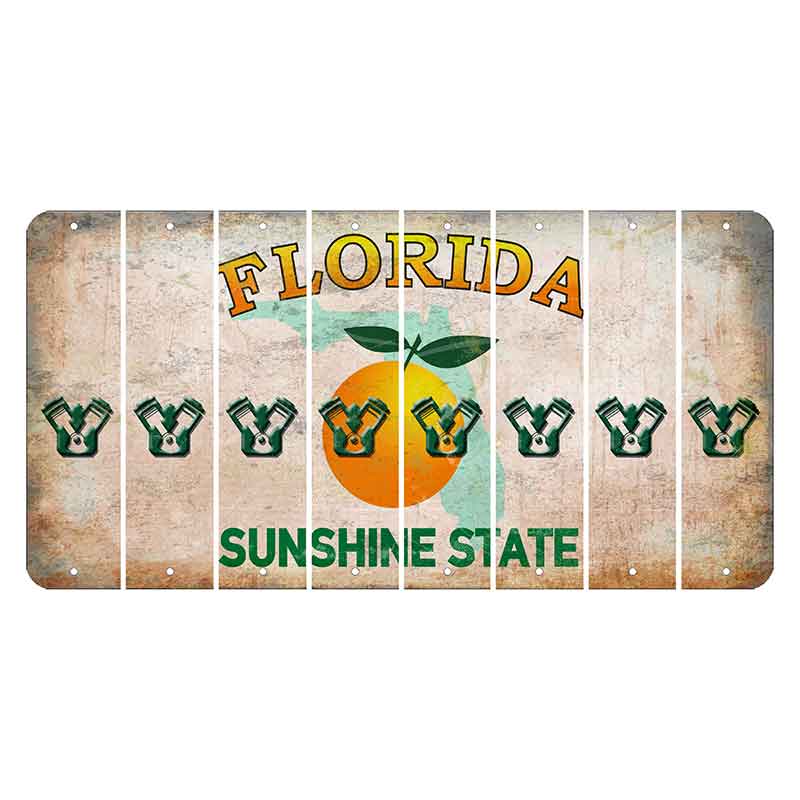 Florida Citrus Orange Cut License Plate Strips (Set of 8) Engine