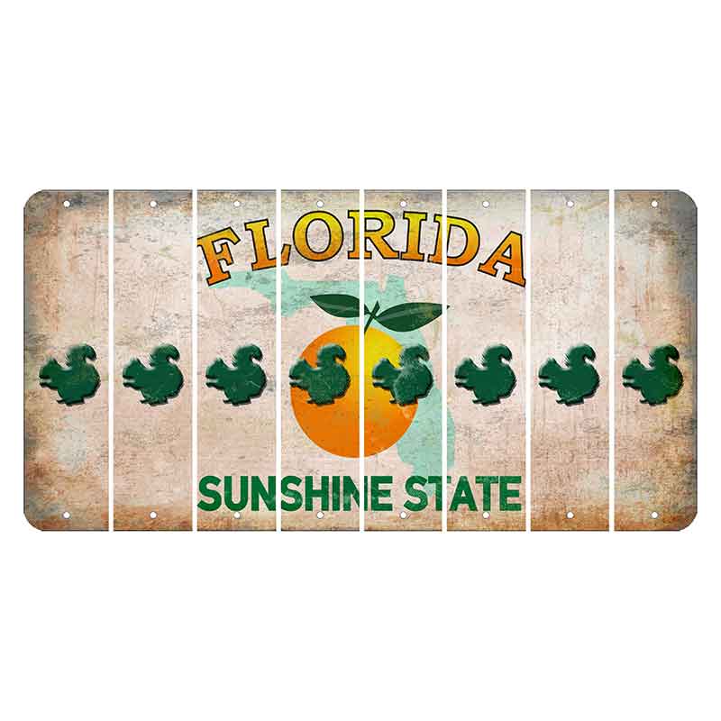 Florida Citrus Orange Cut License Plate Strips (Set of 8) Squirrel