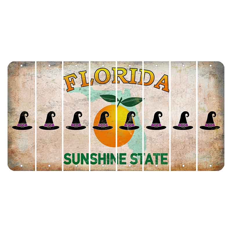 Florida Citrus Orange Cut License Plate Strips (Set of 8) Witches Hat