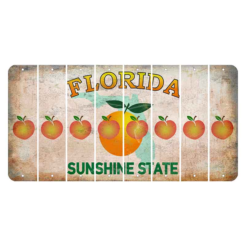 Florida Citrus Orange Cut License Plate Strips (Set of 8) Peach