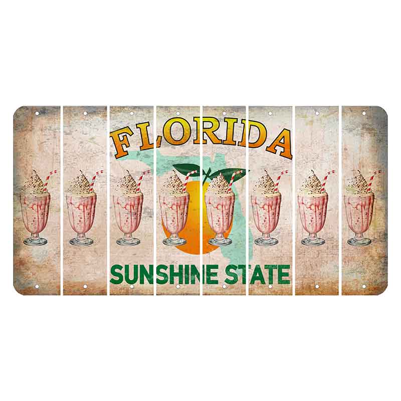 Florida Citrus Orange Cut License Plate Strips (Set of 8) Milkshake