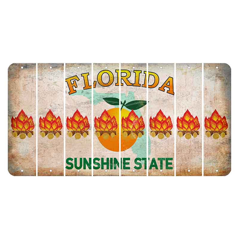 Florida Citrus Orange Cut License Plate Strips (Set of 8) Campfire