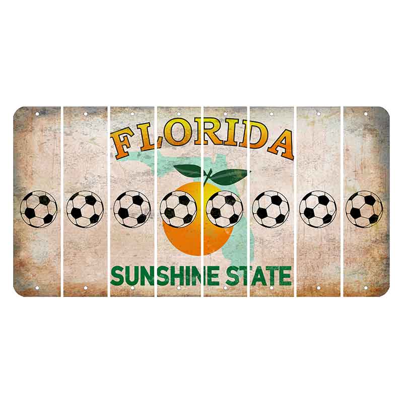 Florida Citrus Orange Cut License Plate Strips (Set of 8) Soccerball