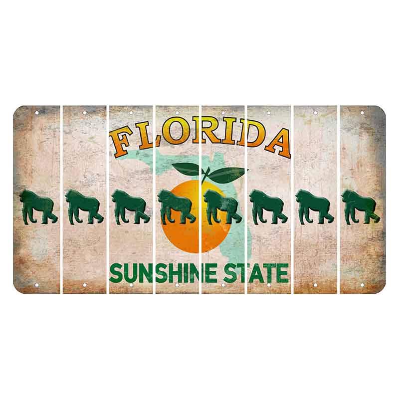Florida Citrus Orange Cut License Plate Strips (Set of 8) Gorilla