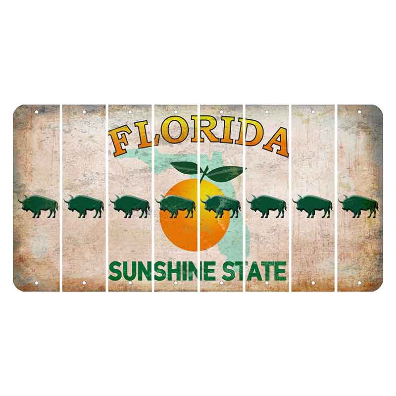 Florida Citrus Orange Cut License Plate Strips (Set of 8) Buffalo
