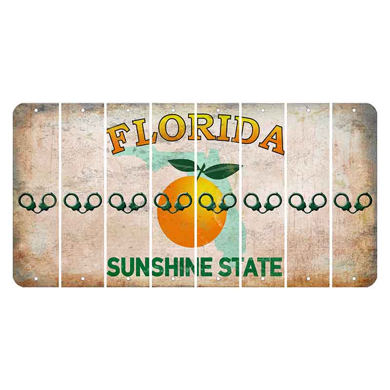 Florida Citrus Orange Cut License Plate Strips (Set of 8) Handcuffs
