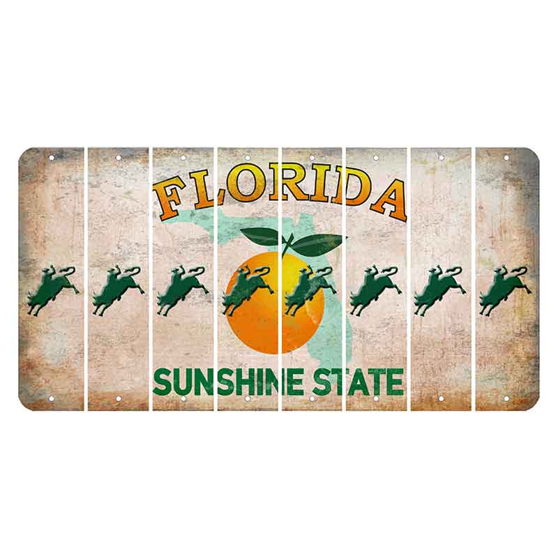 Florida Citrus Orange Cut License Plate Strips (Set of 8) Bull Rider