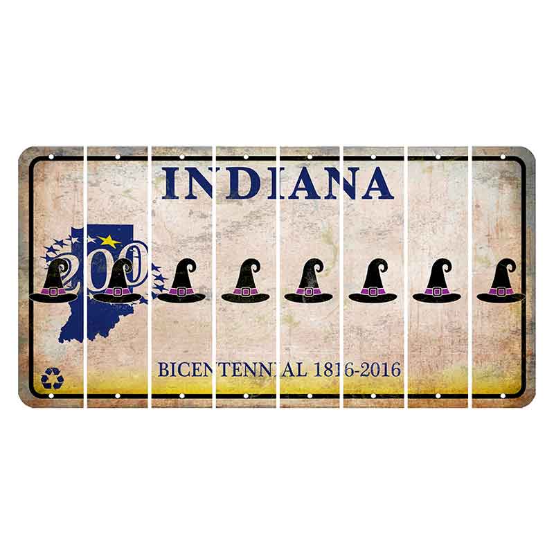 Indiana Bicentennial Cut License Plate Strips (Set of 8) Witches Hat