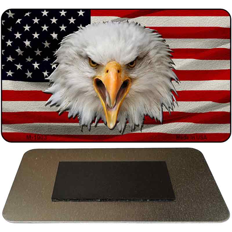 USA/Eagle Novelty Metal Magnet M-1903