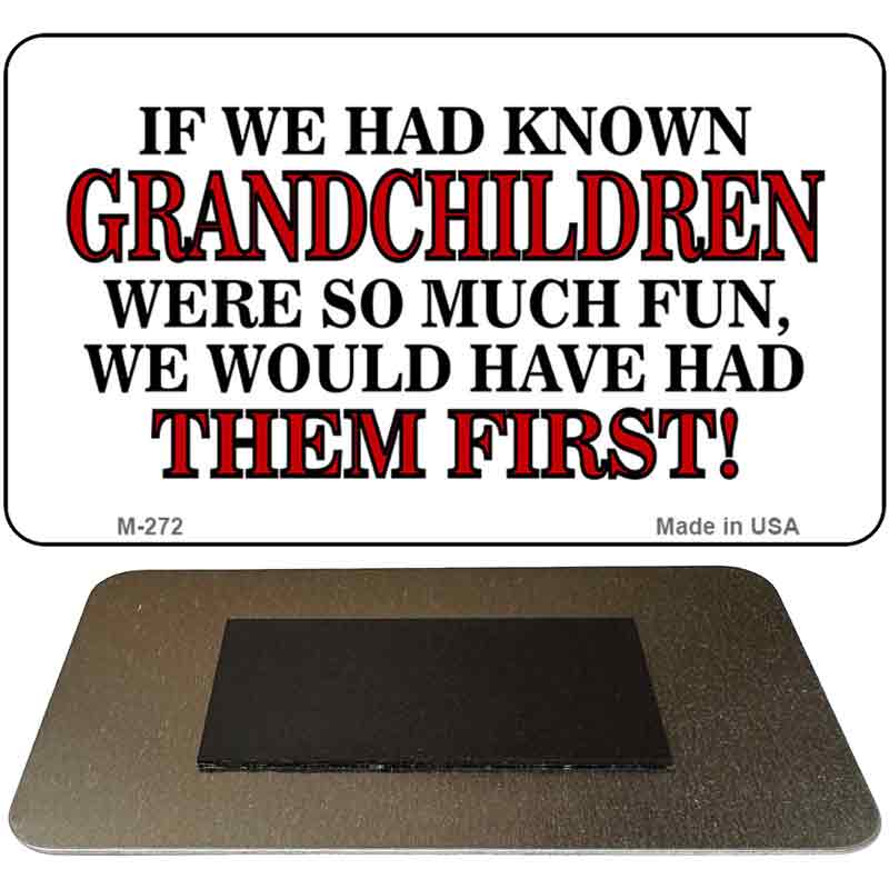 Grandchildren Novelty Metal Magnet M-272