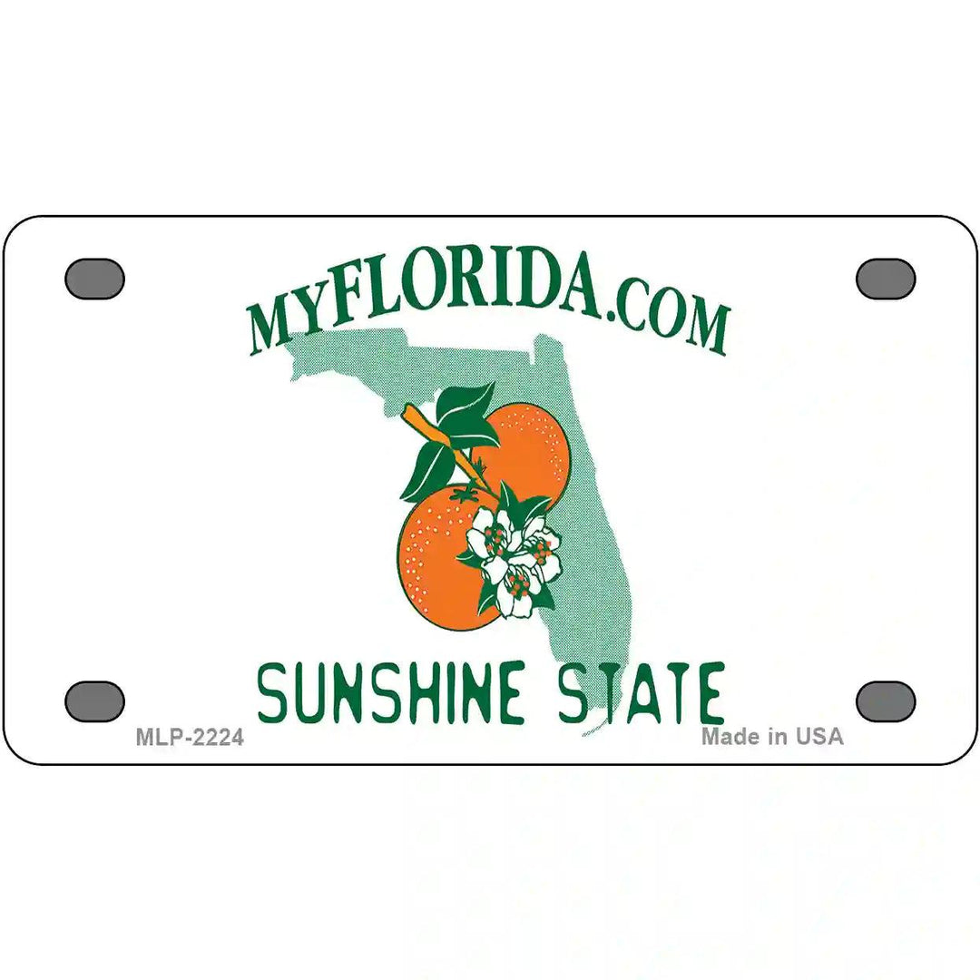 Florida State Blank Novelty Metal License Plate 4" x 2.2" (MLP)
