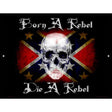 Born A Rebel Metal Novelty Parking Sign 9" x 12" (P)