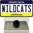 Wildcats Pennsylvania Novelty Metal Hat Pin