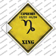 Capricorn Zodiac Symbol Xing Novelty Diamond Sticker Decal