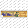 Farm Fresh Blueberries Novelty Narrow Sticker Decal