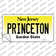 Princeton New Jersey Novelty Sticker Decal