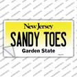 Sandy Toes New Jersey Novelty Sticker Decal