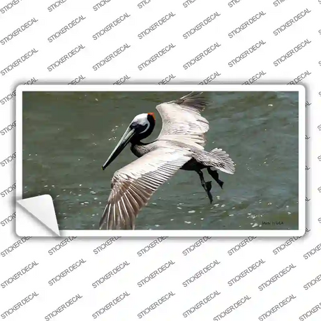 Pelican In Flight Novelty Sticker Decal