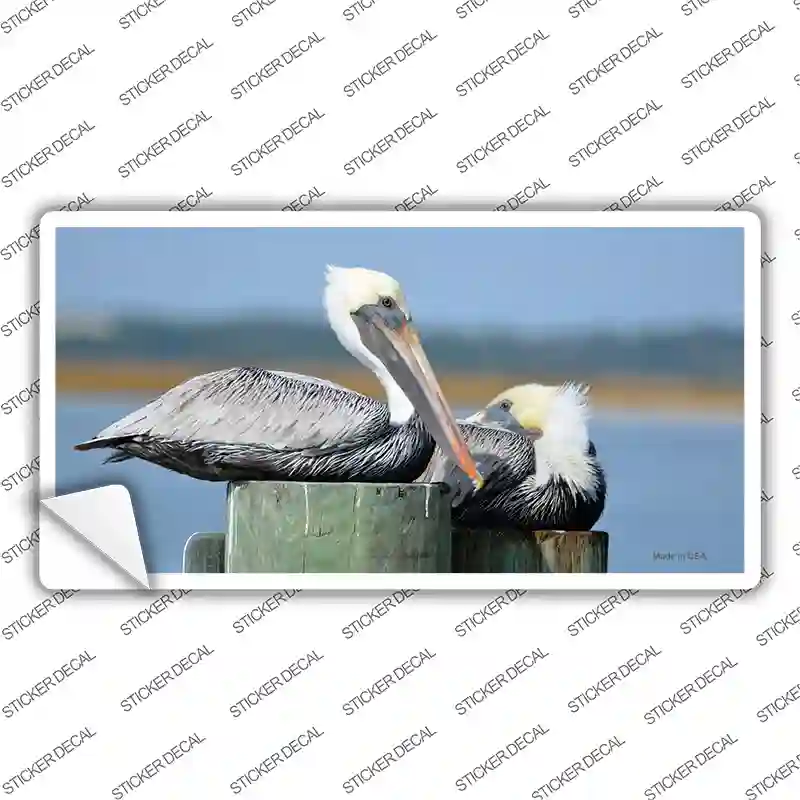 Pelican Two On Pier Novelty Sticker Decal