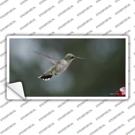 Hummingbird In Flight Novelty Sticker Decal