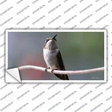Hummingbird Perched On Branch Novelty Sticker Decal