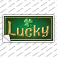 Lucky Irish Novelty Sticker Decal