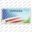 Indiana Bridge American Flag Novelty Sticker Decal