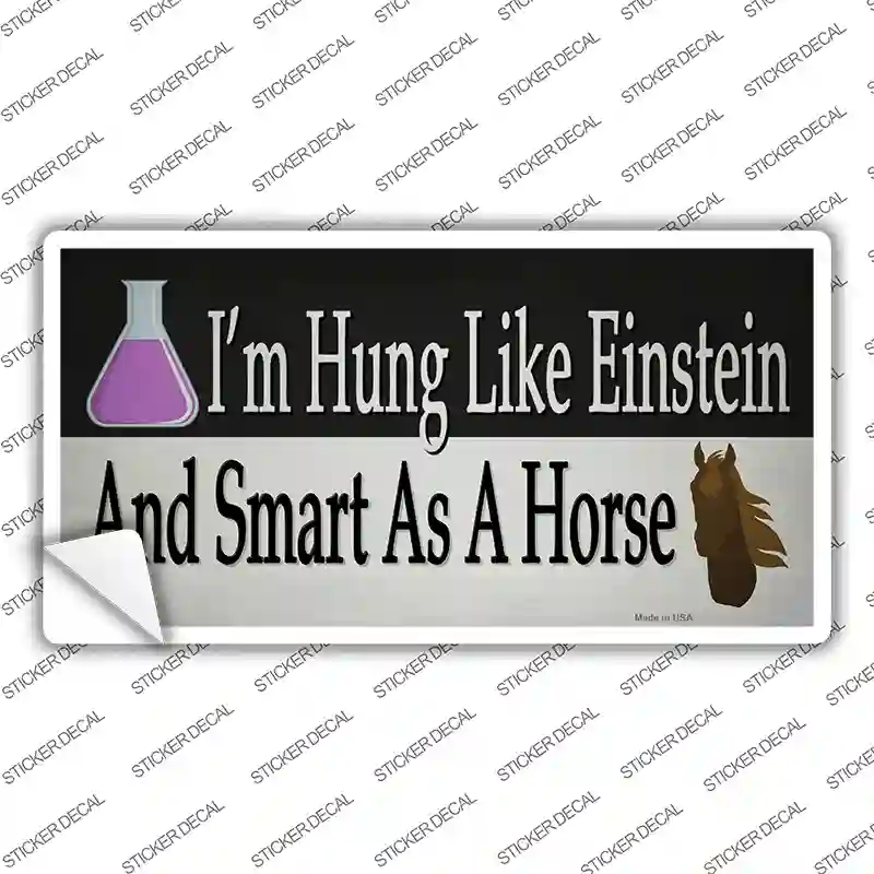 Hung Like Einstein Novelty Sticker Decal