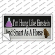 Hung Like Einstein Novelty Sticker Decal