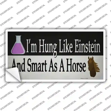 Hung Like Einstein Novelty Sticker Decal