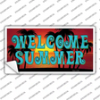 Welcome Summer Novelty Sticker Decal