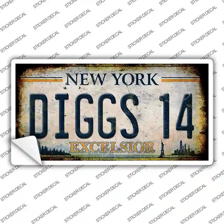 Diggs 14 Excelsior New York Rusty Novelty Sticker Decal