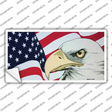 American Flag With Eagle Novelty Sticker Decal