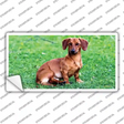 Dachshund Dog Novelty Sticker Decal