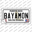 Bayamon Novelty Sticker Decal